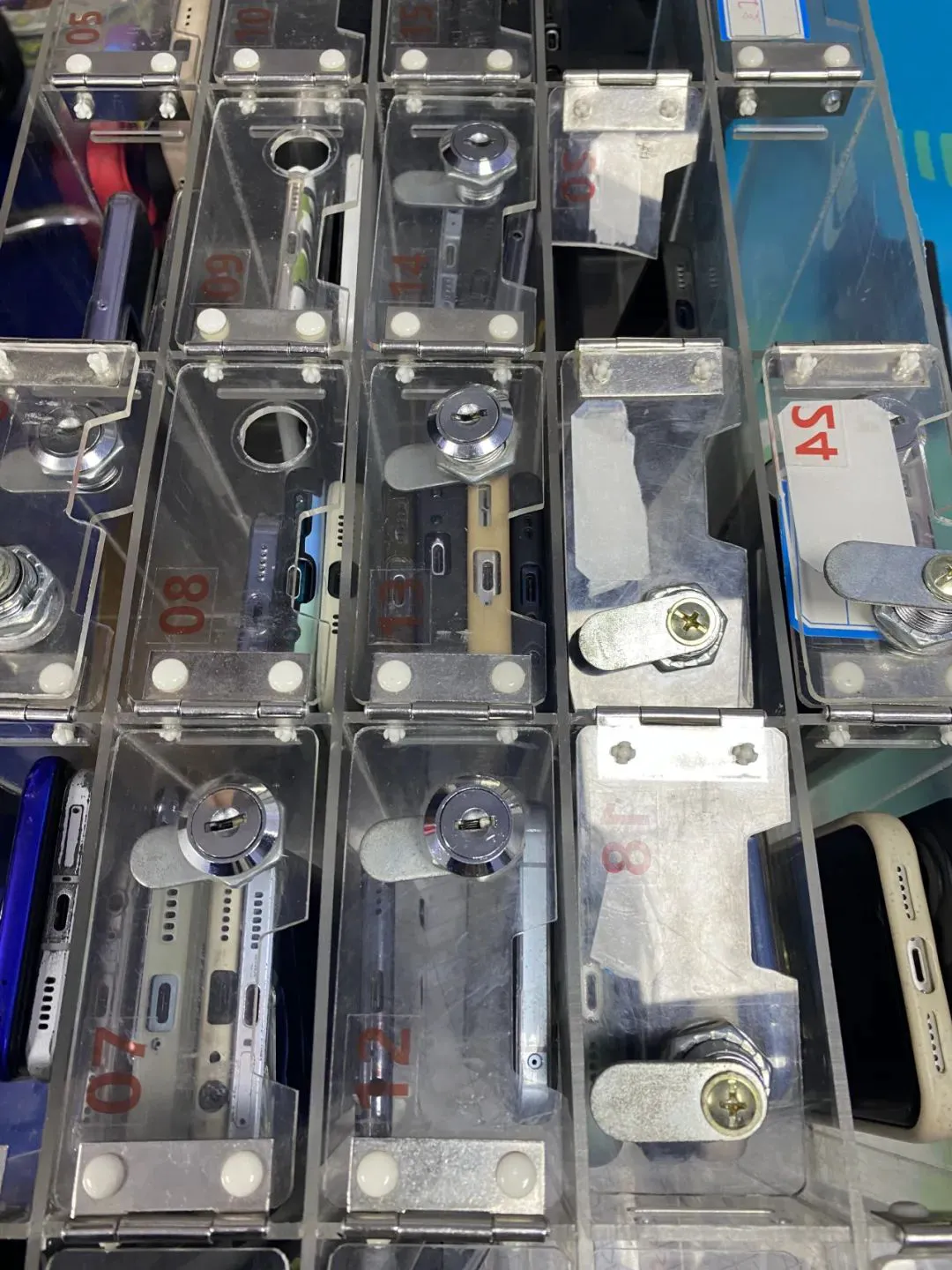 绳梯训练篮球_1